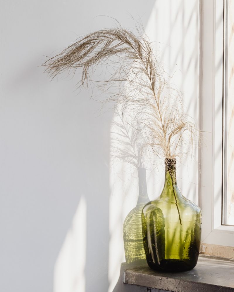 Sunny windowsill with green glass vase and dried palm frond